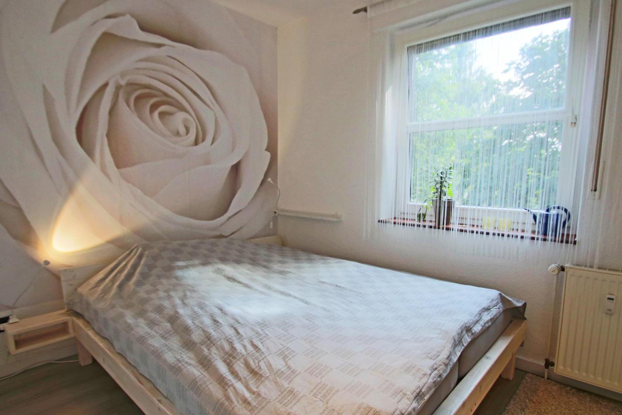 Ruhiges & Gemuetliches Apartment Im Herzen Von Huede 300 M Entfernt Vom Duemmer See 외부 사진